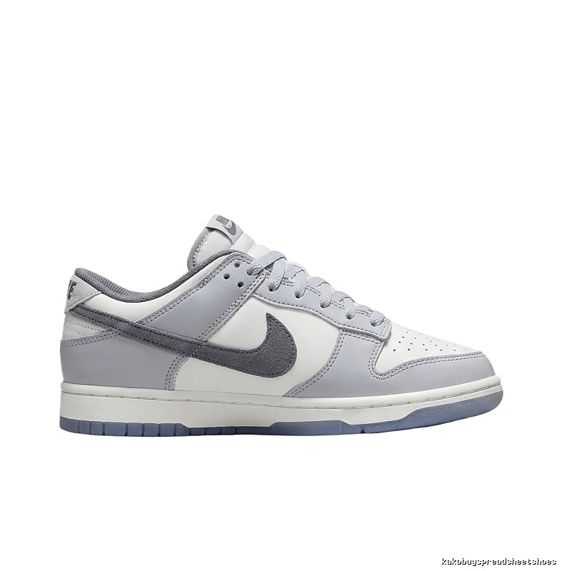 Nike Dunk Retro Style Gray and White Shoes