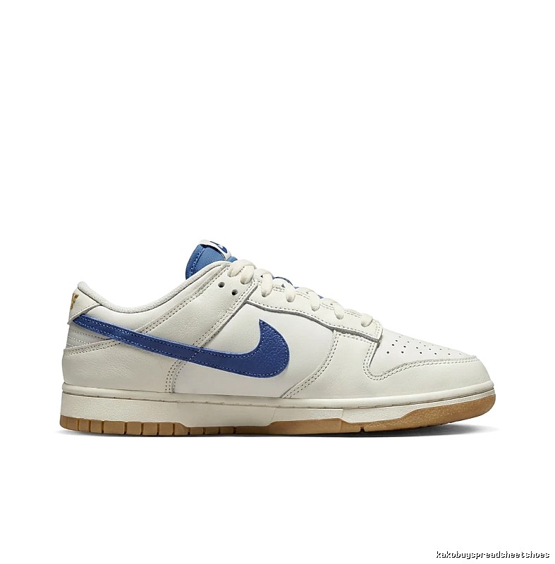 Nike Dunk Retro Style White and Blue Shoes